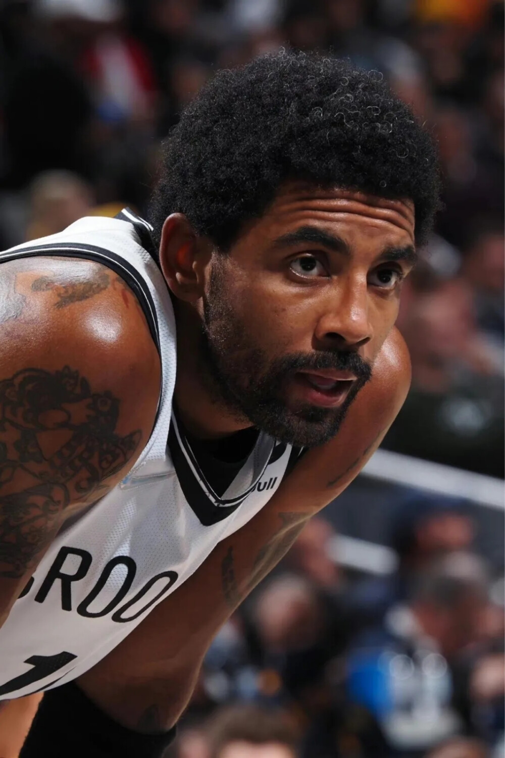 因此补强后 因此补强后